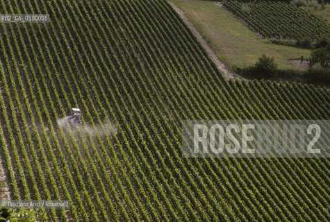 ( FRANCIA  )  BORGOGNA  PAESAGGIO CON VIGNE A MANCEY  © 1999 Graziano Arici/Rosebud2 / GEO VINO