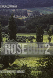 ( FRANCIA  )  BORGOGNA  PAESAGGIO CON VIGNE © 1999 Graziano Arici/Rosebud2 / GEO VINO