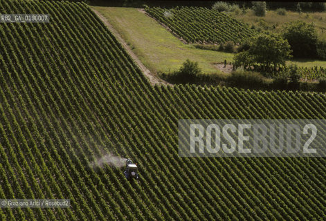 ( FRANCIA  )  BORGOGNA  PAESAGGIO CON VIGNE A MANCEY  © 1999 Graziano Arici/Rosebud2 / GEO VINO