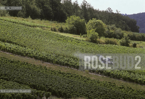 ( FRANCIA  )  BORGOGNA  PAESAGGIO CON VIGNE © 1999 Graziano Arici/Rosebud2 / GEO VINO
