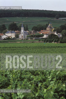 ( FRANCIA  )  BORGOGNA  PAESAGGIO CON VIGNE © 1999 Graziano Arici/Rosebud2 / GEO VINO