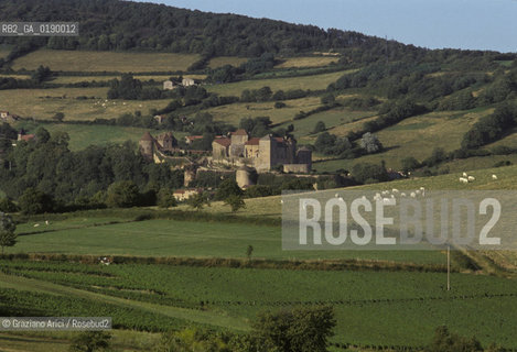 ( FRANCIA  )  BORGOGNA  PAESAGGIO CON VIGNE © 1999 Graziano Arici/Rosebud2 / GEO VINO