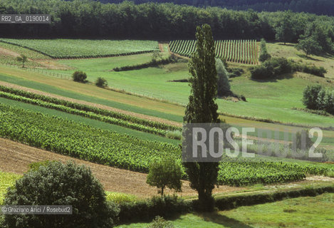 ( FRANCIA  )  BORGOGNA  PAESAGGIO CON VIGNE © 1999 Graziano Arici/Rosebud2 / GEO VINO