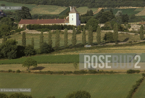 ( FRANCIA  )  BORGOGNA  PAESAGGIO CON VIGNE © 1999 Graziano Arici/Rosebud2 / GEO VINO