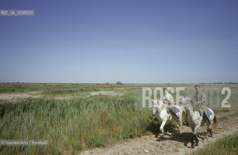 ( FRANCIA  )  PROVENCE-ALPES-COTE DAZUR PARCO NATURALE DELLA CAMARGUE : VISITA A CAVALLO © 1999 Graziano Arici/Rosebud2 / GEO