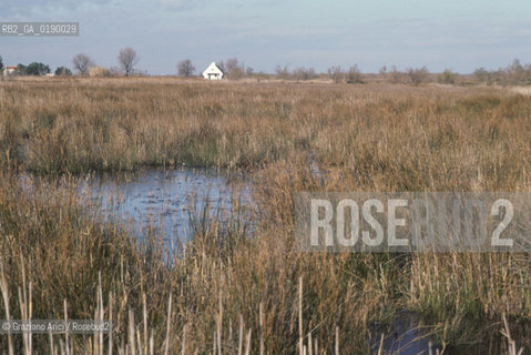 ( FRANCIA  )  PROVENCE-ALPES-COTE DAZUR PARCO NATURALE DELLA CAMARGUE :  STAGNI© 1999 Graziano Arici/Rosebud2 / GEO