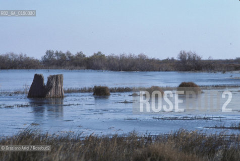 ( FRANCIA  )  PROVENCE-ALPES-COTE DAZUR PARCO NATURALE DELLA CAMARGUE : STAGNO © 1999 Graziano Arici/Rosebud2 / GEO