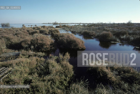 ( FRANCIA  )  PROVENCE-ALPES-COTE DAZUR PARCO NATURALE DELLA CAMARGUE : STAGNO © 1999 Graziano Arici/Rosebud2 / GEO