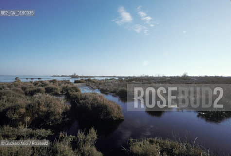 ( FRANCIA  )  PROVENCE-ALPES-COTE DAZUR PARCO NATURALE DELLA CAMARGUE : STAGNO © 1999 Graziano Arici/Rosebud2 / GEO