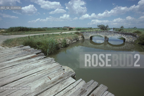 ( FRANCIA  )  PROVENCE-ALPES-COTE DAZUR PARCO NATURALE DELLA CAMARGUE : CANALI DI IRRIGAZIONE © 1999 Graziano Arici/Rosebud2 / GEO