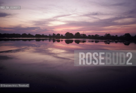 ( FRANCIA  )  PROVENCE-ALPES-COTE DAZUR PARCO NATURALE DELLA CAMARGUE : STAGNO © 1999 Graziano Arici/Rosebud2 / GEO