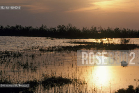 ( FRANCIA  )  PROVENCE-ALPES-COTE DAZUR PARCO NATURALE DELLA CAMARGUE : STAGNO © 1999 Graziano Arici/Rosebud2 / GEO