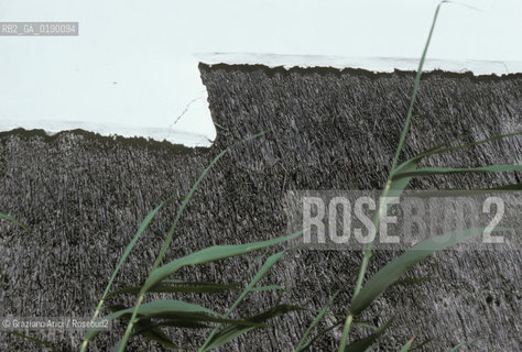 ( FRANCIA  )  PROVENCE-ALPES-COTE DAZUR PARCO NATURALE DELLA CAMARGUE : CABANE DE GARDIAN © 1999 Graziano Arici/Rosebud2 / GEO TETTO PAGLIA