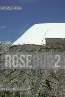 ( FRANCIA  )  PROVENCE-ALPES-COTE DAZUR PARCO NATURALE DELLA CAMARGUE : CABANE DE GARDIANI © 1999 Graziano Arici/Rosebud2 / GEO TETTO PAGLIA