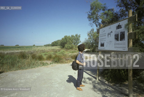 ( FRANCIA  )  PROVENCE-ALPES-COTE DAZUR PARCO NATURALE DELLA CAMARGUE : SENTIERO SEGALATO © 1999 Graziano Arici/Rosebud2 / GEO
