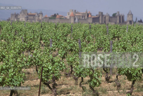 ( FRANCIA  )  LANGUEDOC-ROUSSILLON  CARCASSONNE : LA CITE VIGNETI © 1999 Graziano Arici/Rosebud2 / GEO CASTELLO ERESIA CATARA CATARI VINO