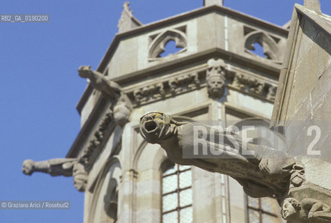 ( FRANCIA  )  LANGUEDOC-ROUSSILLON  CARCASSONNE : LA CITE CHIESA DI ST-NAZAIRE © 1999 Graziano Arici/Rosebud2 / GEO CASTELLO ERESIA CATARA CATARI GOCCIOLATOIO