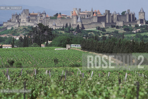 ( FRANCIA  )  LANGUEDOC-ROUSSILLON  CARCASSONNE : LA CITE LA CINTA DELLE MURA E VIGNE © 1999 Graziano Arici/Rosebud2 / GEO CASTELLO ERESIA CATARA CATARI VINO