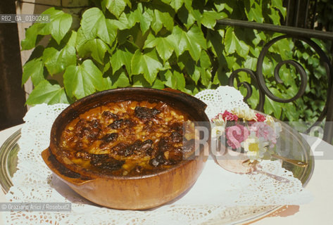 ( FRANCIA  )  LANGUEDOC-ROUSSILLON  CARCASSONNE : HOTEL DOMAINE DAURIAC PIATTO CASSOULET © 1999 Graziano Arici/Rosebud2 / GEO GASTRONOMIA