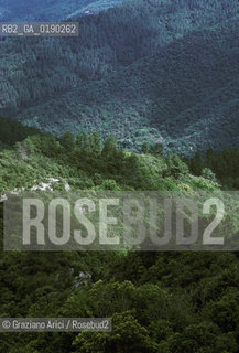 ( FRANCIA  )  LANGUEDOC-ROUSSILLON  CORNICHE DE LE CEVENNES © 1999 Graziano Arici/Rosebud2 / GEO BOSCO