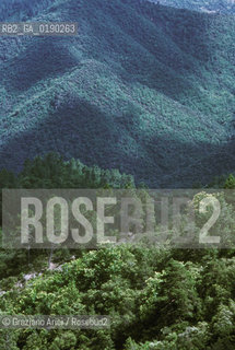 ( FRANCIA  )  LANGUEDOC-ROUSSILLON  CORNICHE DE LE CEVENNES © 1999 Graziano Arici/Rosebud2 / GEO BOSCO