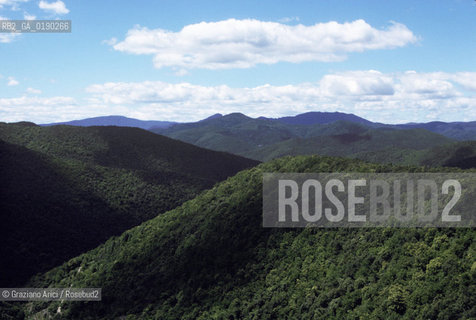 ( FRANCIA  )  LANGUEDOC-ROUSSILLON  CORNICHE DE LE CEVENNES © 1999 Graziano Arici/Rosebud2 / GEO BOSCO