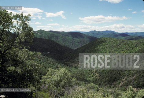 ( FRANCIA  )  LANGUEDOC-ROUSSILLON  CORNICHE DE LE CEVENNES © 1999 Graziano Arici/Rosebud2 / GEO
