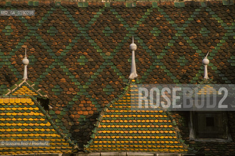 ( FRANCIA  )  ALSAZIA  COLMAR  : UNA STRADA DEL CENTRO  © 1999 Graziano Arici/Rosebud2 / GEO TETTO