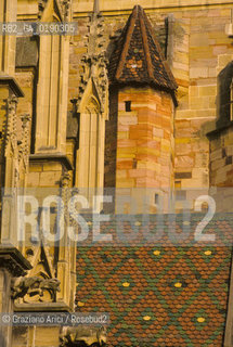 ( FRANCIA  )  ALSAZIA  COLMAR  : LA CHIESA DI ST-MARTIN  © 1999 Graziano Arici/Rosebud2 / GEO