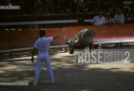 ( FRANCIA  )  PROVENCE-ALPES-COTE DAZUR ARLES : ARENA COURSE CAMARGUAISE © 1999 Graziano Arici/Rosebud2 / GEO TORO