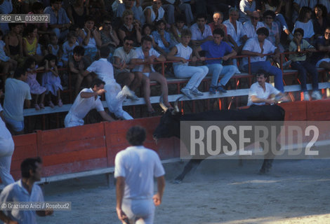 ( FRANCIA  )  PROVENCE-ALPES-COTE DAZUR ARLES : ARENA COURSE CAMARGUAISE © 1999 Graziano Arici/Rosebud2 / GEO TORO