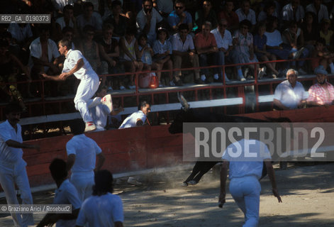 ( FRANCIA  )  PROVENCE-ALPES-COTE DAZUR ARLES : ARENA COURSE CAMARGUAISE © 1999 Graziano Arici/Rosebud2 / GEO TORO