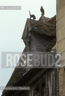 ( FRANCIA  )  BORGOGNA DIGIONE : UNA CASA DEL CENTRO  © 1999 Graziano Arici/Rosebud2 / GEO GATTO UCCELLO TETTO