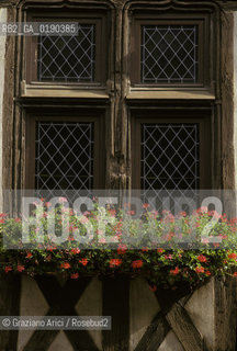 ( FRANCIA  )  BORGOGNA DIGIONE : FINESTRA  © 1999 Graziano Arici/Rosebud2 / GEO