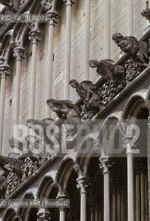 ( FRANCIA  )  BORGOGNA DIGIONE : LA CHIESA NOTRE-DAME © 1999 Graziano Arici/Rosebud2 / GEO GOTICO