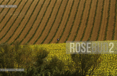 ( FRANCIA  )  PROVENCE-ALPES-COTE DAZUR GORDES : CAMPAGNA © 1999 Graziano Arici/Rosebud2 / GEO