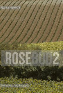 ( FRANCIA  )  PROVENCE-ALPES-COTE DAZUR GORDES : CAMPAGNA © 1999 Graziano Arici/Rosebud2 / GEO