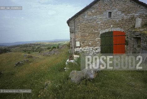 ( FRANCIA  )  LANGUEDOC-ROUSSILLON ALTIPIANO DEL LARZAC CAUSSE : OVILE © 1999 Graziano Arici/Rosebud2 / GEO