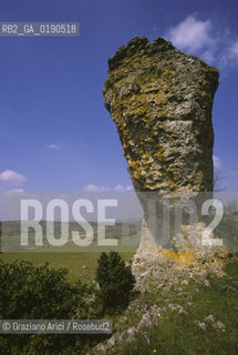 ( FRANCIA  )  LANGUEDOC-ROUSSILLON ALTIPIANO DEL LARZAC CAUSSE : PAESAGGIO © 1999 Graziano Arici/Rosebud2 / GEO ROCCIA
