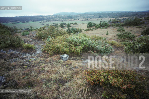 ( FRANCIA  )  LANGUEDOC-ROUSSILLON ALTIPIANO DEL LARZAC CAUSSE : PAESAGGIO © 1999 Graziano Arici/Rosebud2 / GEO