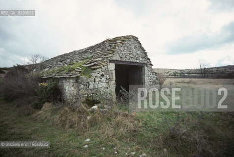 ( FRANCIA  )  LANGUEDOC-ROUSSILLON ALTIPIANO DEL LARZAC CAUSSE : OVILE © 1999 Graziano Arici/Rosebud2 / GEO