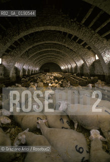 ( FRANCIA  )  LANGUEDOC-ROUSSILLON ALTIPIANO DEL LARZAC CAUSSE : VILLAGGIO DE LA BLAQUIERE CENTRO DELLA LOTTA DEI PASTORI  © 1999 Graziano Arici/Rosebud2 / GEO