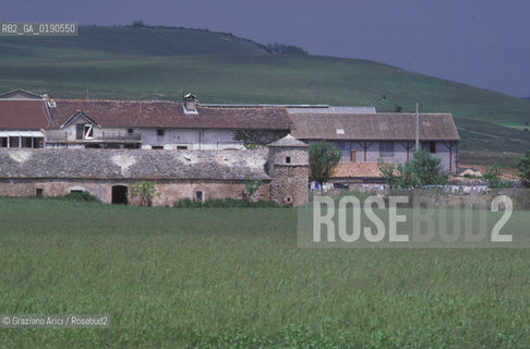 ( FRANCIA  )  LANGUEDOC-ROUSSILLON ALTIPIANO DEL LARZAC CAUSSE : OVILE © 1999 Graziano Arici/Rosebud2 / GEO