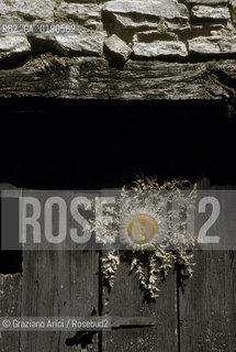 ( FRANCIA  )  LANGUEDOC-ROUSSILLON ALTIPIANO DEL LARZAC CAUSSE : PORTA © 1999 Graziano Arici/Rosebud2 / GEO CARDO