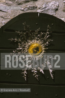 ( FRANCIA  )  LANGUEDOC-ROUSSILLON ALTIPIANO DEL LARZAC CAUSSE : PORTA © 1999 Graziano Arici/Rosebud2 / GEO CARDO