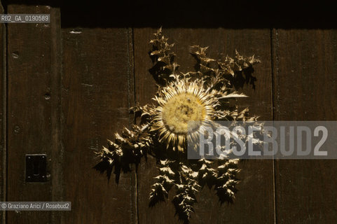 ( FRANCIA  )  LANGUEDOC-ROUSSILLON ALTIPIANO DEL LARZAC CAUSSE : LA CITTA TEMPLARE DELLA COUVERTOIRADE © 1999 Graziano Arici/Rosebud2 / GEO TEMPLARI CARDO PORTA