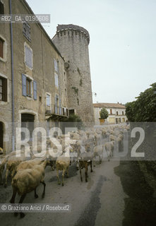 ( FRANCIA  )  LANGUEDOC-ROUSSILLON ALTIPIANO DEL LARZAC CAUSSE : LA CITTA TEMPLARE DI STE-EULALIE-DE-CERNON © 1999 Graziano Arici/Rosebud2 / GEO TEMPLARI PECORA