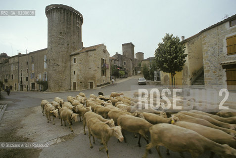 ( FRANCIA  )  LANGUEDOC-ROUSSILLON ALTIPIANO DEL LARZAC CAUSSE : LA CITTA TEMPLARE DI STE-EULALIE-DE-CERNON © 1999 Graziano Arici/Rosebud2 / GEO TEMPLARI