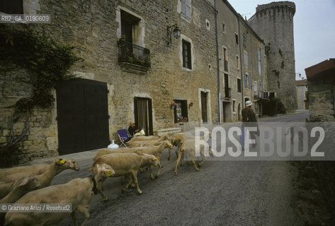 ( FRANCIA  )  LANGUEDOC-ROUSSILLON ALTIPIANO DEL LARZAC CAUSSE : LA CITTA TEMPLARE DI STE-EULALIE-DE-CERNON © 1999 Graziano Arici/Rosebud2 / GEO TEMPLARI PECORA