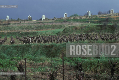 ( FRANCIA  )  LANGUEDOC-ROUSSILLON VIGNETI © 1999 Graziano Arici/Rosebud2 / GEO VINO
